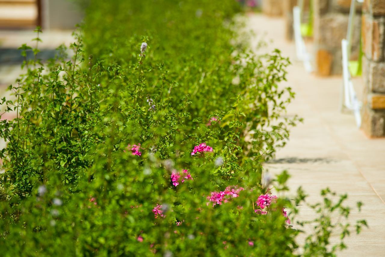 Olive Land Villas Limenaria  Exterior photo